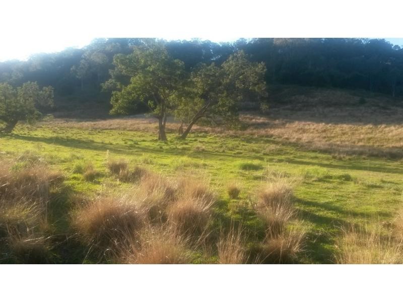 8 Brindle Creek Road, Loadstone, Kyogle NSW 2474