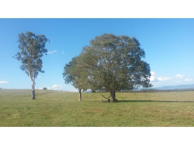 1130 Dyraaba Road, Dyraaba, Casino NSW 2470