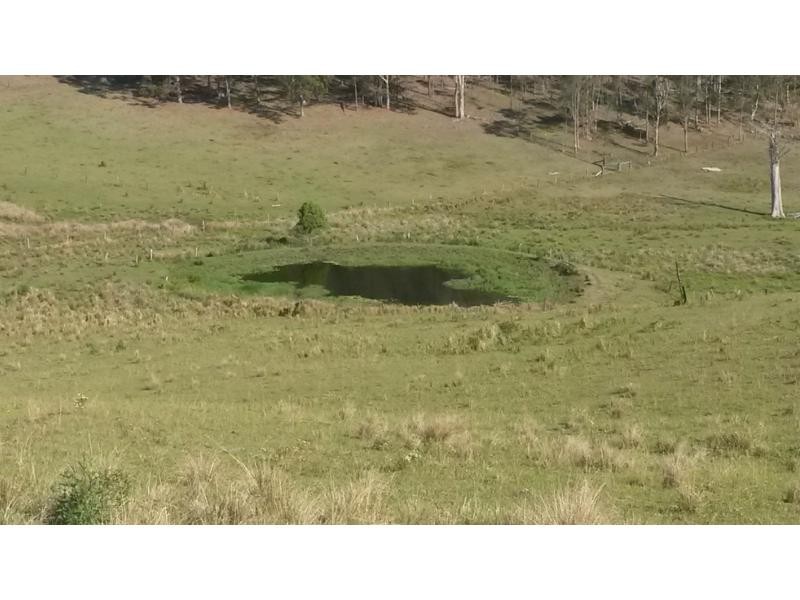 1130 Dyraaba Road, Dyraaba, Casino NSW 2470