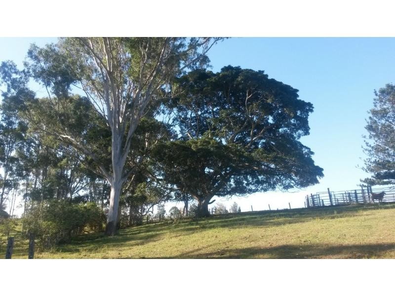 1130 Dyraaba Road, Dyraaba, Casino NSW 2470