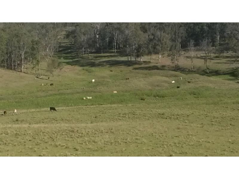 1130 Dyraaba Road, Dyraaba, Casino NSW 2470