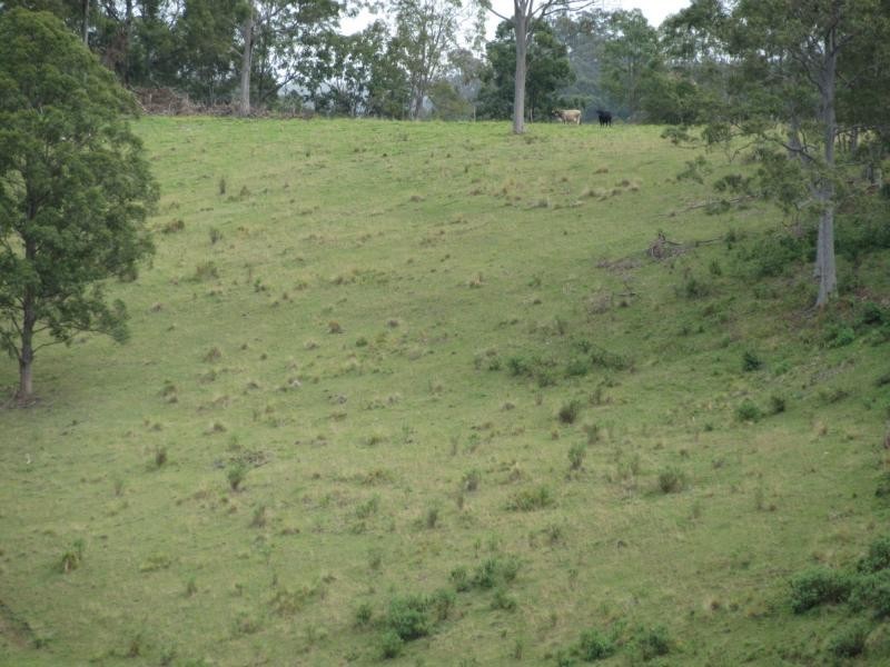 192 Lees Lane, HOGARTH RANGE, Casino NSW 2470