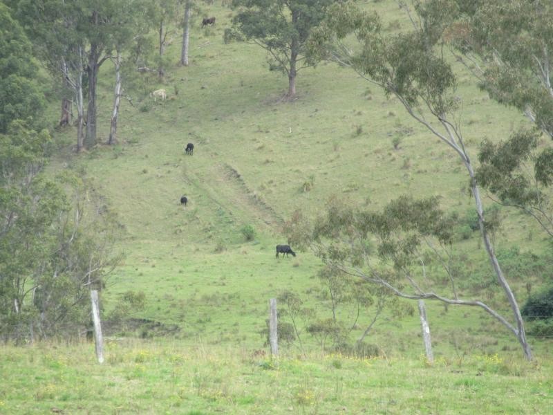 192 Lees Lane, HOGARTH RANGE, Casino NSW 2470