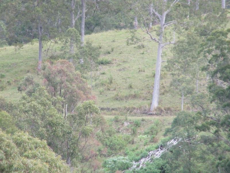 192 Lees Lane, HOGARTH RANGE, Casino NSW 2470