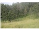 L124 Plain Station Rd, Tabulam NSW 2469