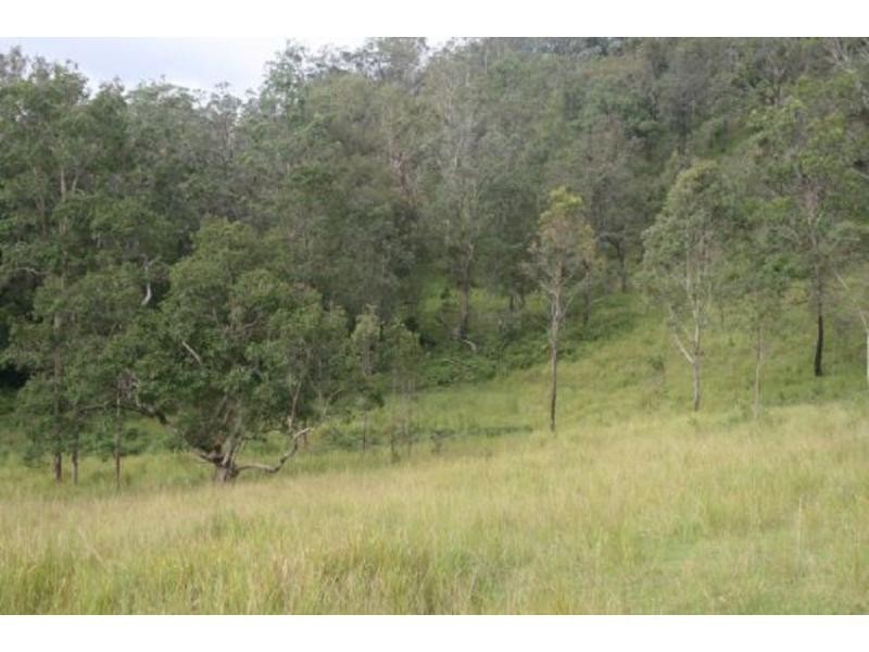 L124 Plain Station Rd, Tabulam NSW 2469