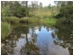 L124 Plain Station Rd, Tabulam NSW 2469