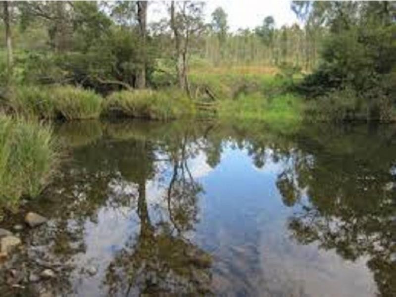 L124 Plain Station Rd, Tabulam NSW 2469
