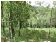 L124 Plain Station Rd, Tabulam NSW 2469