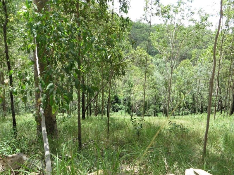 L124 Plain Station Rd, Tabulam NSW 2469