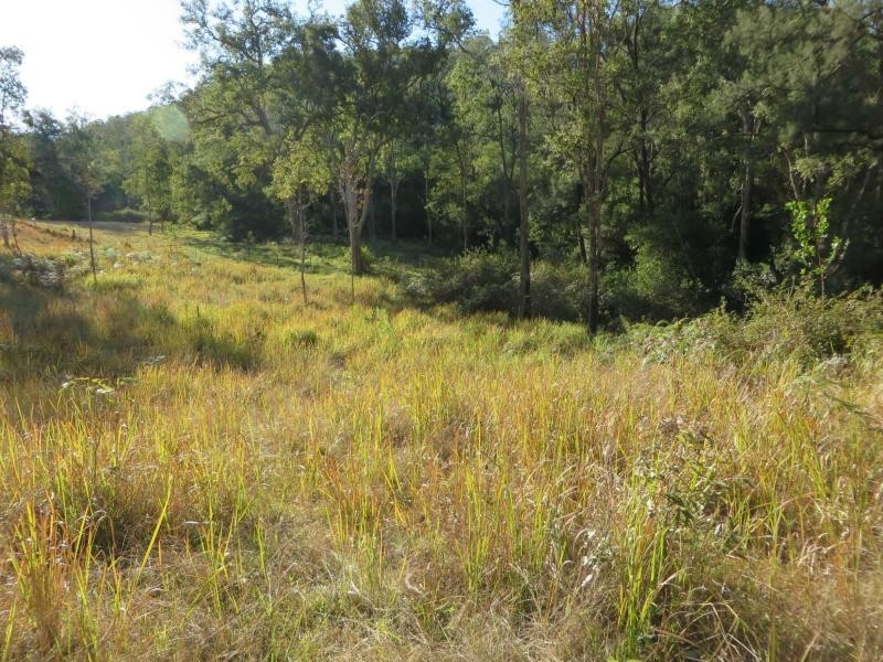 L124 Plain Station Rd, Tabulam NSW 2469