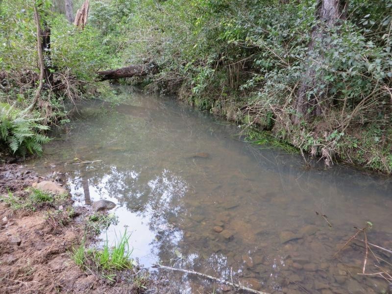 L124 Plain Station Rd, Tabulam NSW 2469