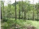 L124 Plain Station Rd, Tabulam NSW 2469