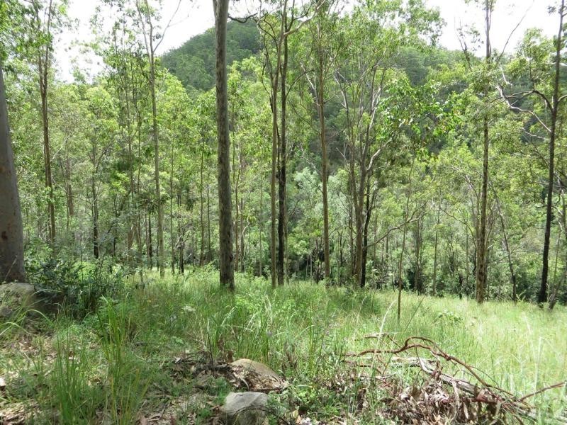 L124 Plain Station Rd, Tabulam NSW 2469