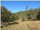 L124 Plain Station Rd, Tabulam NSW 2469