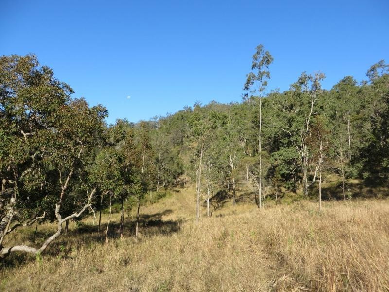 L124 Plain Station Rd, Tabulam NSW 2469