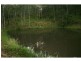 L124 Plain Station Rd, Tabulam NSW 2469