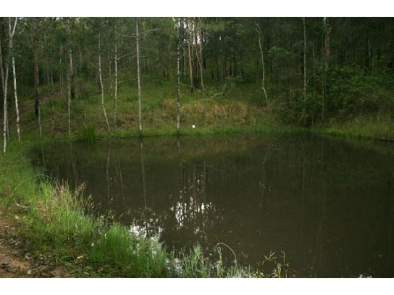 L124 Plain Station Rd, Tabulam NSW 2469