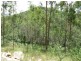 L124 Plain Station Rd, Tabulam NSW 2469