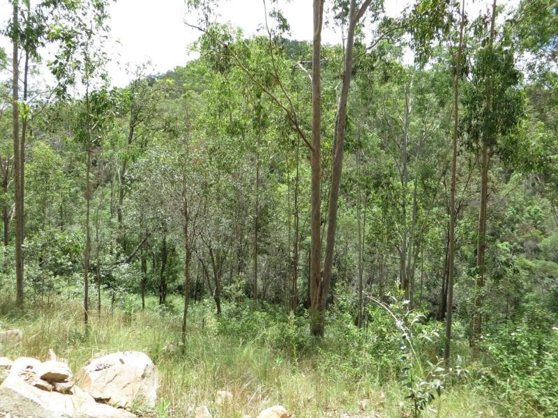 L124 Plain Station Rd, Tabulam NSW 2469