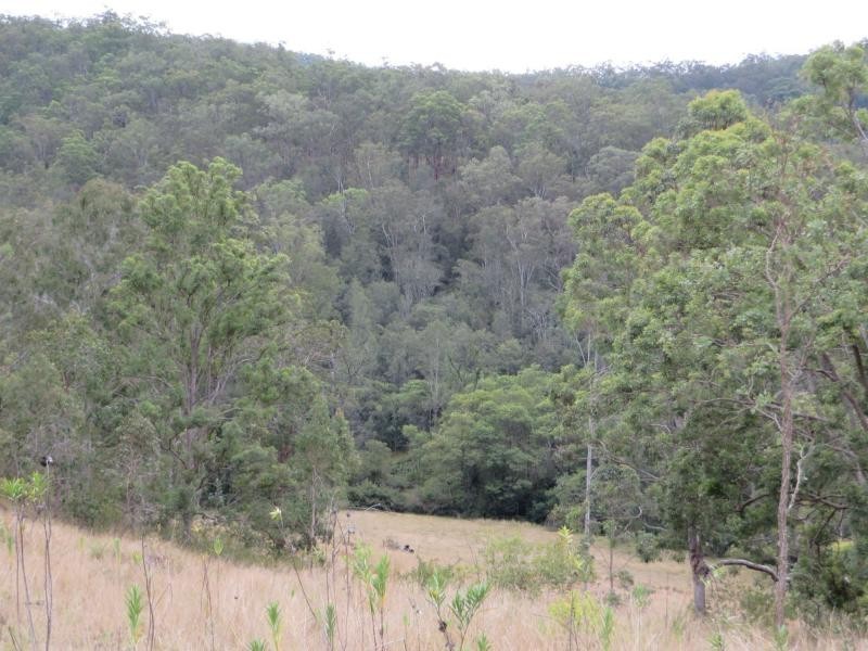 L124 Plain Station Rd, Tabulam NSW 2469
