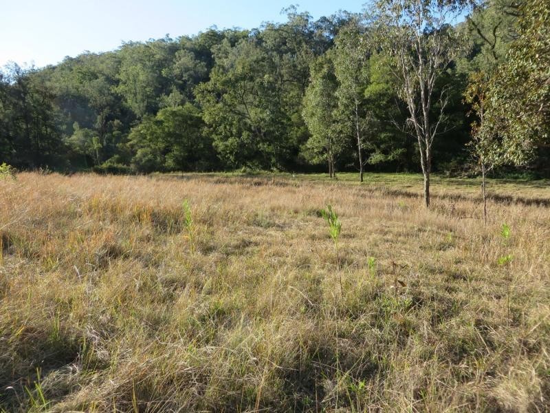 L124 Plain Station Rd, Tabulam NSW 2469