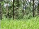 L124 Plain Station Rd, Tabulam NSW 2469