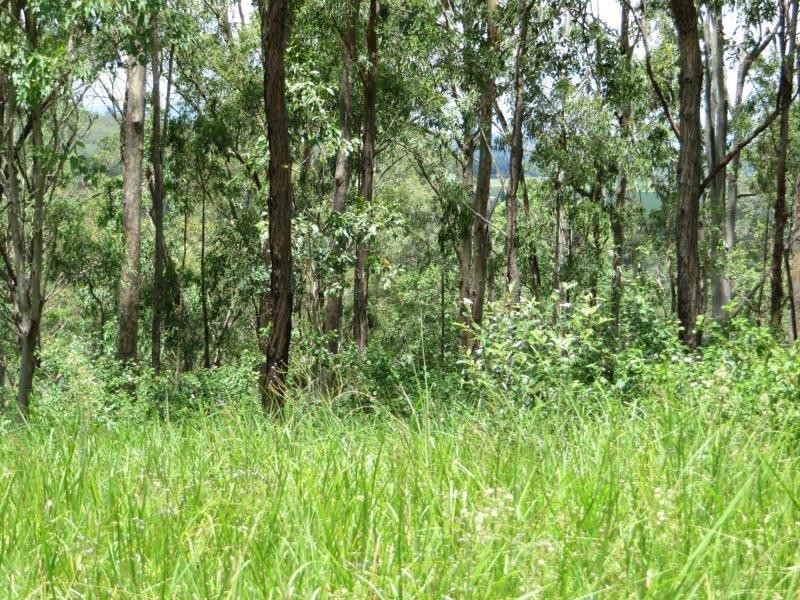 L124 Plain Station Rd, Tabulam NSW 2469