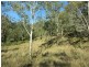 L124 Plain Station Rd, Tabulam NSW 2469