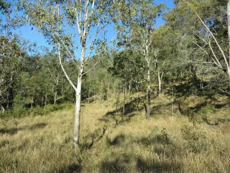 L124 Plain Station Rd, Tabulam NSW 2469