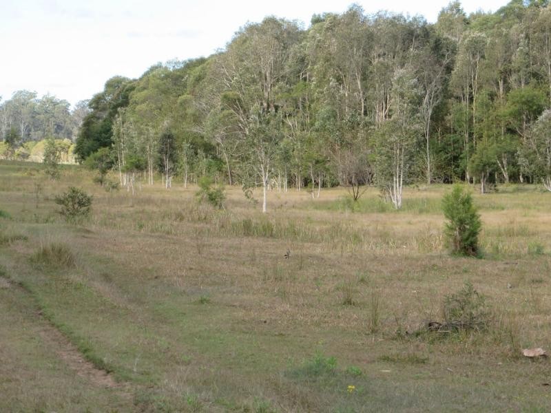 3009 Old Tenterfield Rd , Via CASINO, Busbys Flat NSW 2469