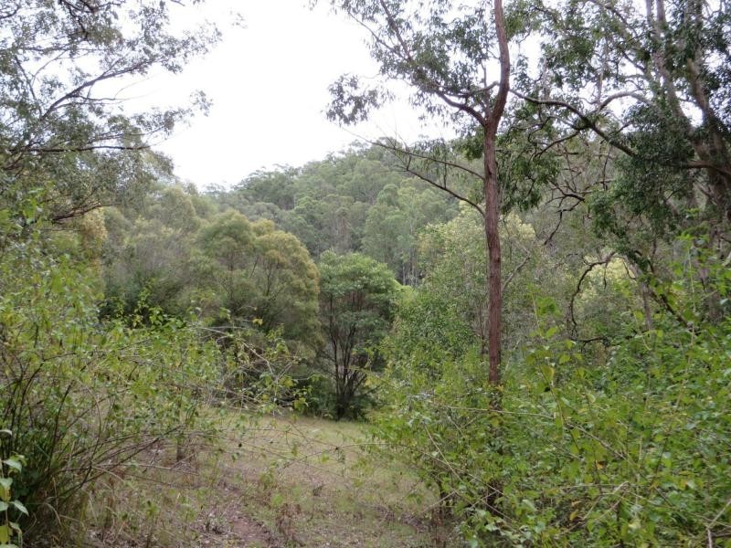 3009 Old Tenterfield Rd , Via CASINO, Busbys Flat NSW 2469