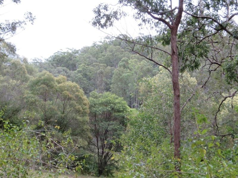 3009 Old Tenterfield Rd , Via CASINO, Busbys Flat NSW 2469