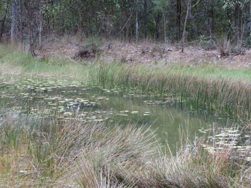 3009 Old Tenterfield Rd , Via CASINO, Busbys Flat NSW 2469