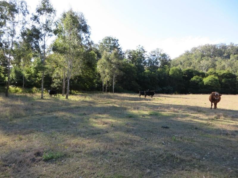 L76 Upper Cherry Tree Rd , Upper Cherry Tree Via, Casino NSW 2470