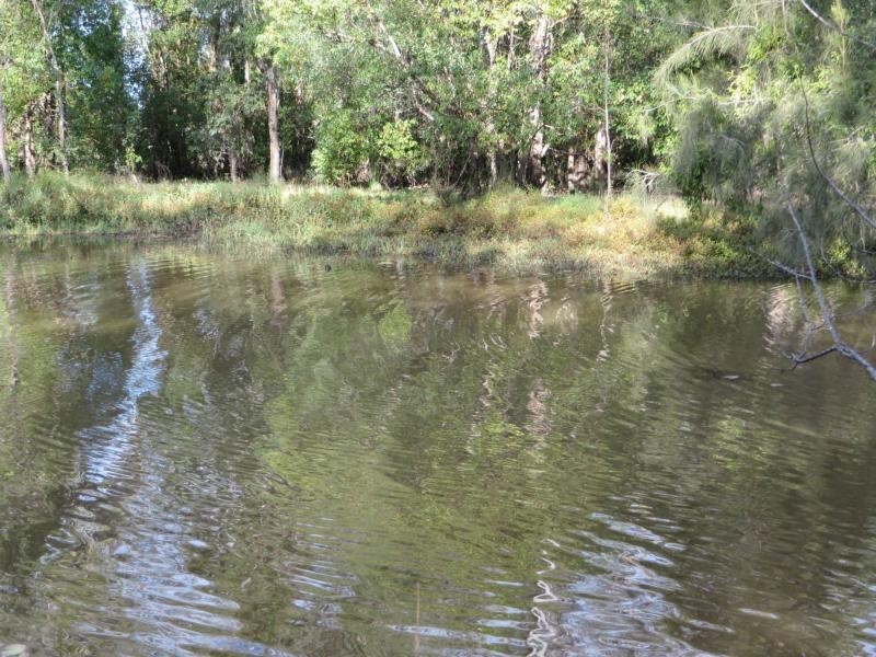 6 Mclean St , VIA CASINO, Rappville NSW 2469