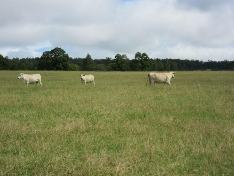 11607 Clarence Way, Tabulam NSW 2469