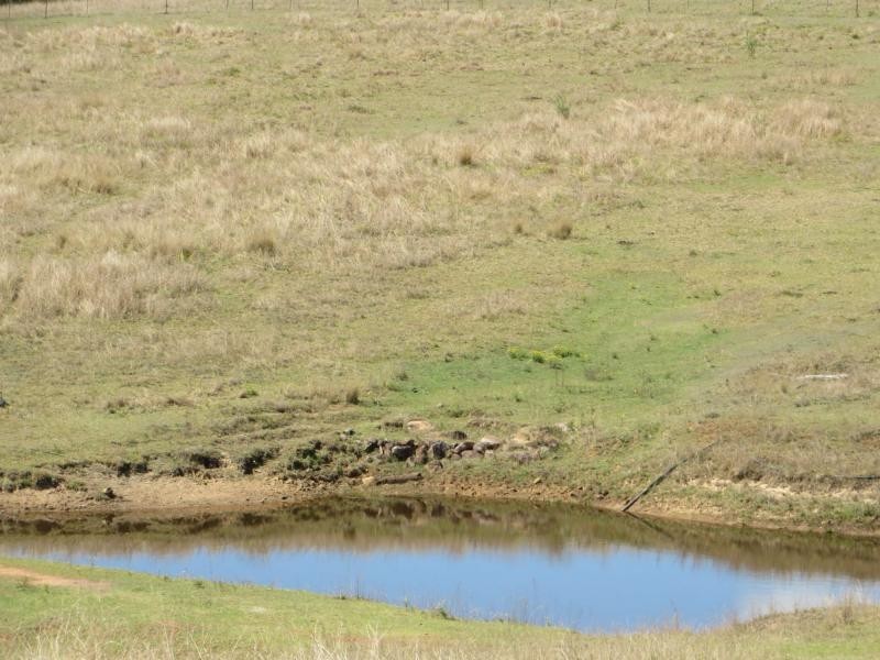 6289a Bruxner Hwy St, Tabulam NSW 2469