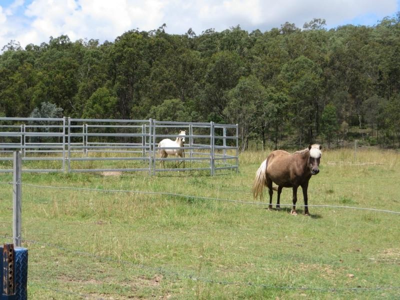 6289a Bruxner Hwy St, Tabulam NSW 2469