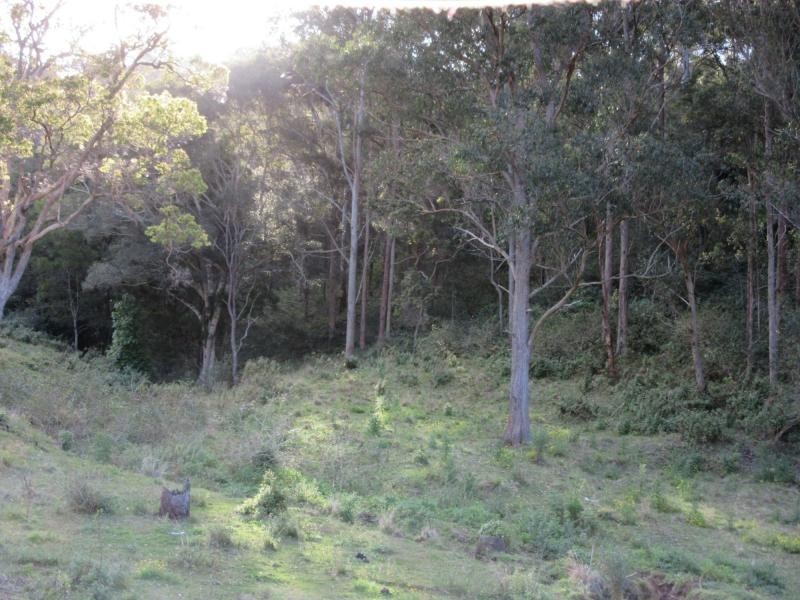 1202 (a) Lions Road, VIA KYOGLE / BEAUDESERT, Kyogle NSW 2474