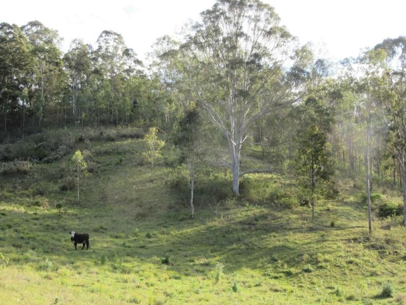 1202 (a) Lions Road, VIA KYOGLE / BEAUDESERT, Kyogle NSW 2474