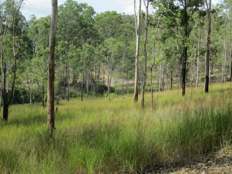 L163 Emu Ck Rd , VIA CASINO, Tabulam NSW 2469