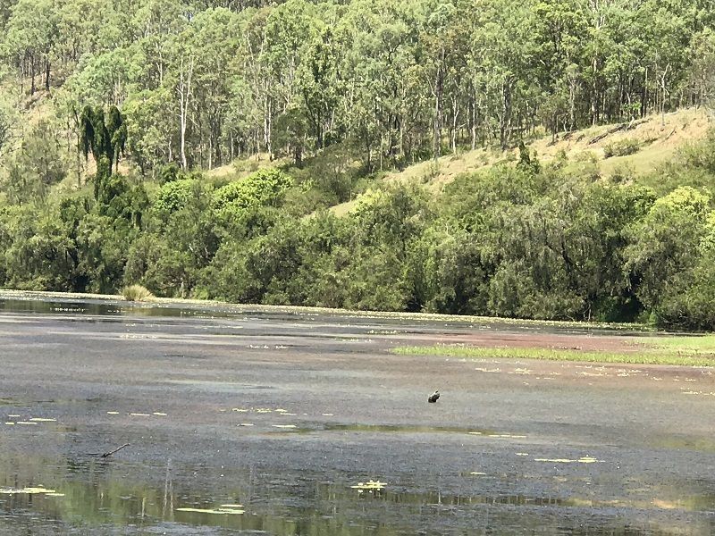 9675 Clarence Way St, Ewingar NSW 2469