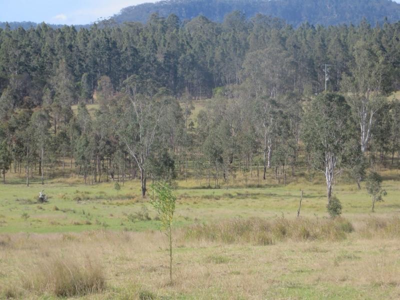 9675 Clarence Way St, Ewingar NSW 2469