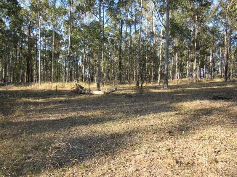 L47 Deadman Creek Road, Coongbar, Pikapene NSW 2469