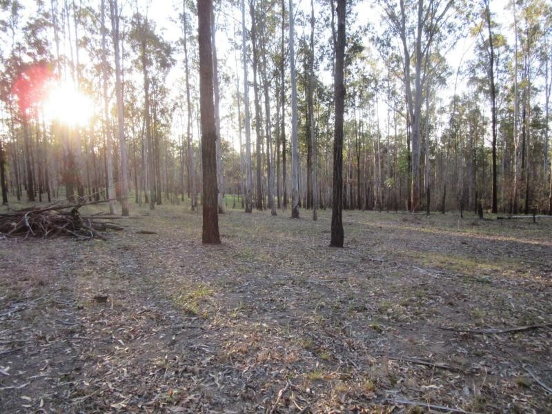 L47 Deadman Creek Road, Coongbar, Pikapene NSW 2469