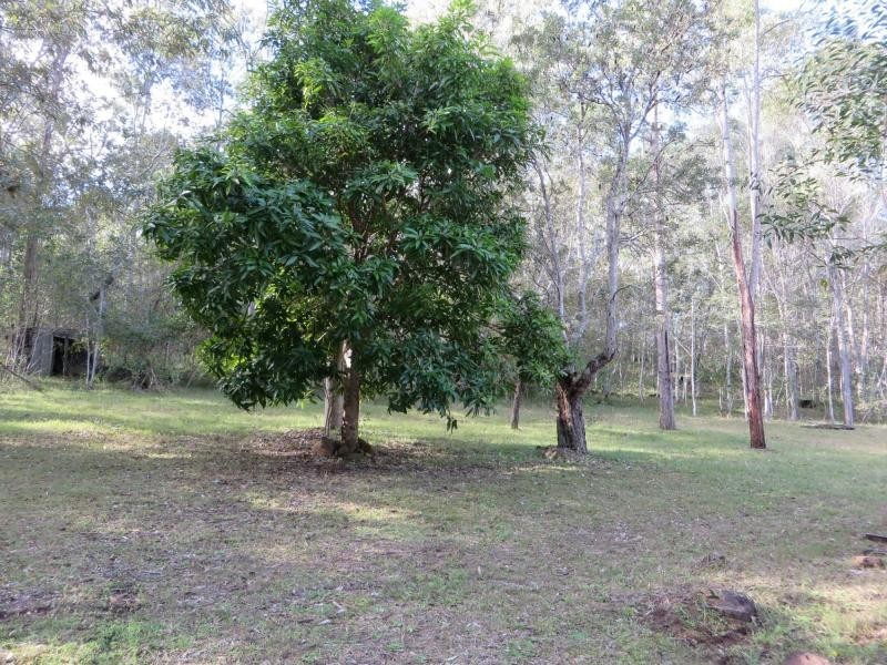 L8 Old Tenterfield Rd , VIA CASINO, Busbys Flat NSW 2469