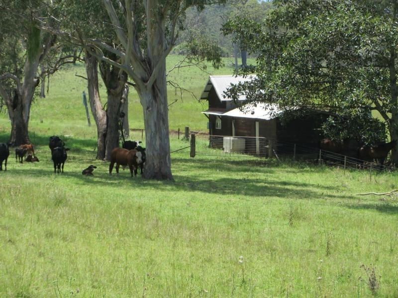 35 Walsh Rd , VIA CASINO, Dyraaba NSW 2470