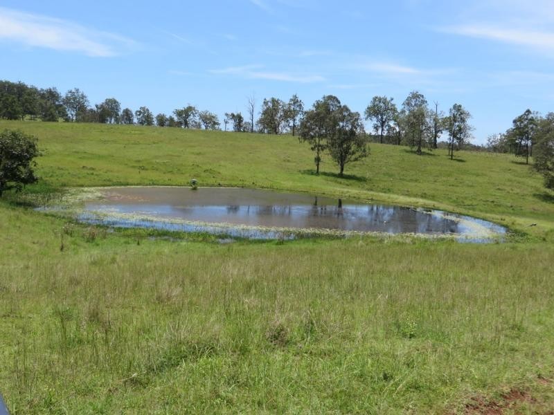 35 Walsh Rd , VIA CASINO, Dyraaba NSW 2470