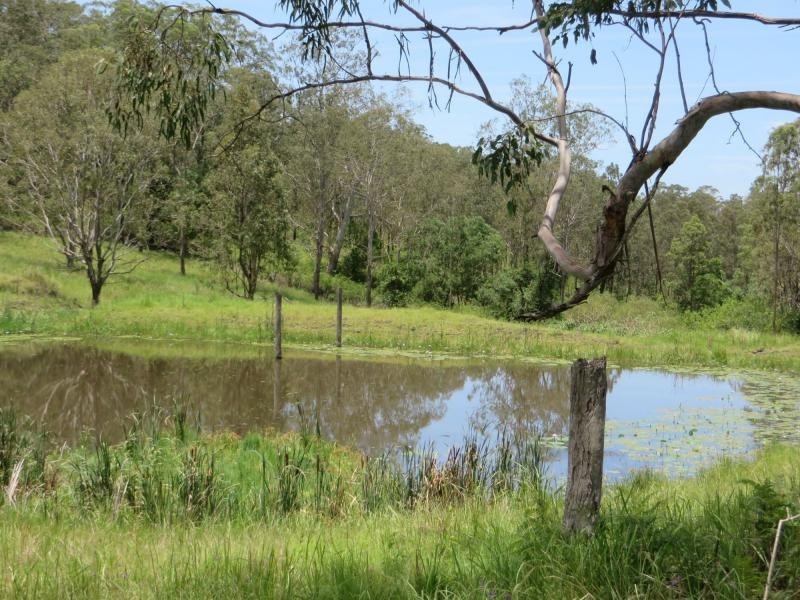 35 Walsh Rd , VIA CASINO, Dyraaba NSW 2470